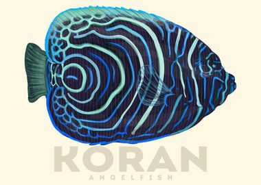 Koran AngelFish