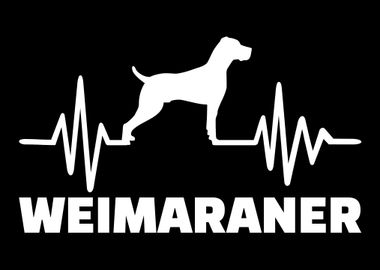 Weimaraner