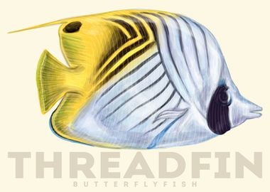 Threadfin Butterfly Fish