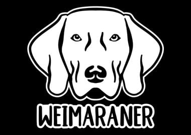 Weimaraner