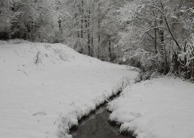 Winter scenery after snow