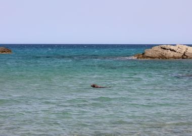 Xerokampos beach Creta