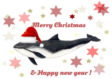 Merry Christmas porpoise