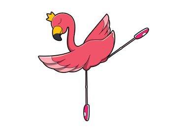 Flamingo Ballerina Ballet