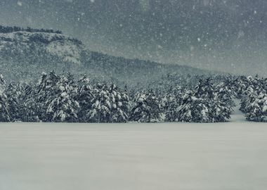 Winter in the Alps