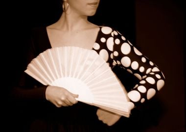 Flamenco Dancer 02