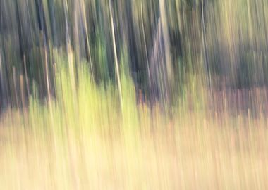 Panning Trees