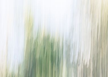 Panning Trees