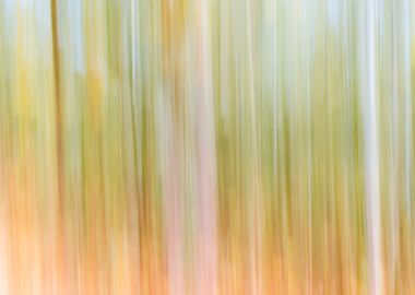 Panning Trees