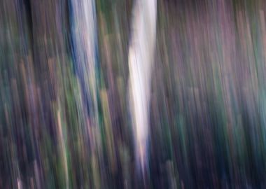 Panning Trees