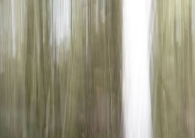 Panning Trees