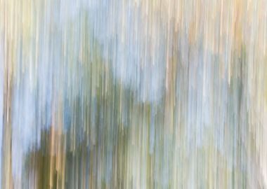 Panning Trees