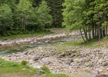 river landscape