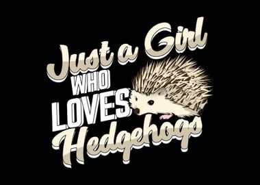 Cute Hedgehog Design 