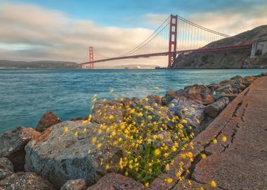 Golden Gate Sunset II