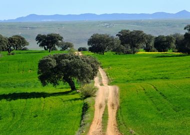 Extremadura Spring 02