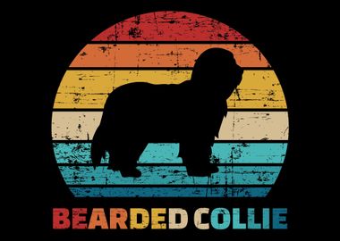 Bearded Collie