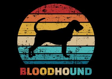 Bloodhound