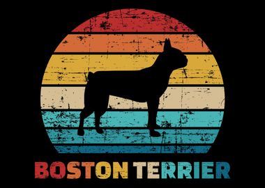 Boston Terrier