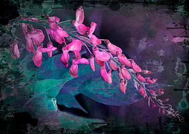 wisteria in the garden