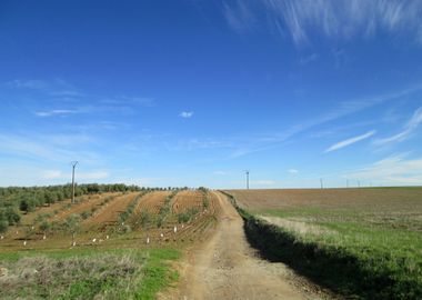 Extremadura in Spring time