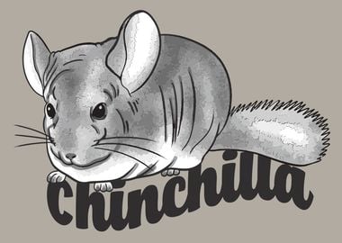 Chinchilla Design