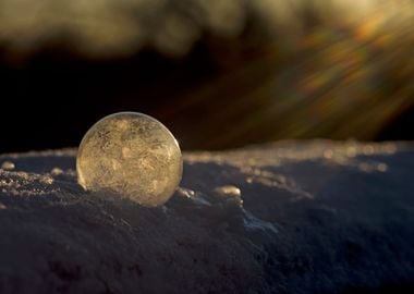 Frozen bubble at dusk