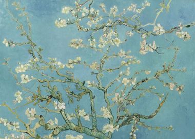 Almond Blossoms Van Gogh