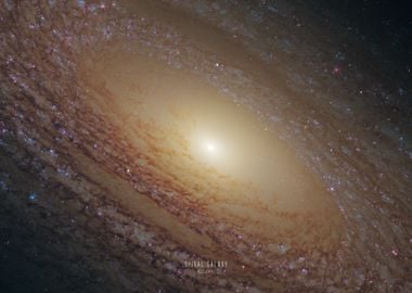 Spiral Galaxy NGC 2841