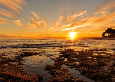 The coast in sunset