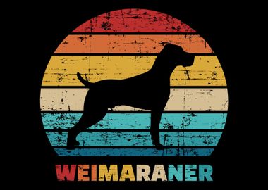 Weimaraner