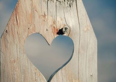 Palisade wood hole heart s