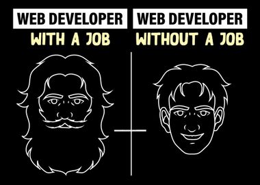 Web Developer Programmer