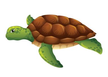 Turtle Cute