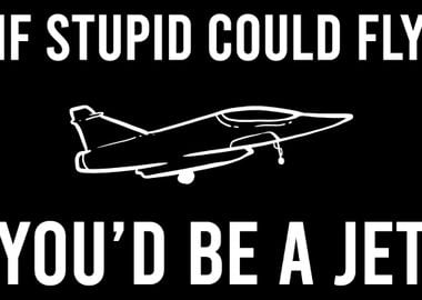 Stupid Can Fly Sarcastic a