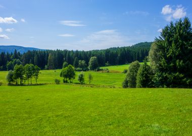 Green mountains