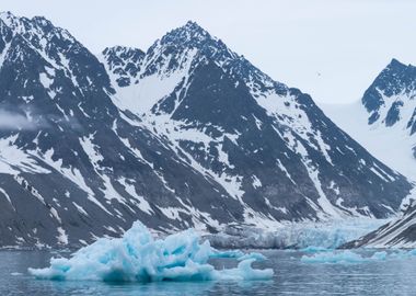 Arctic beauty