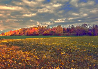 spring countryside 