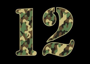 12th Bday Military Camo