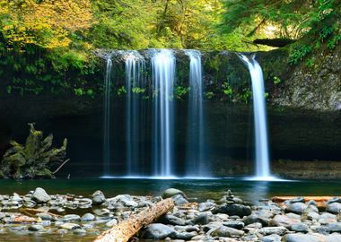 Waterfalls in the Forest