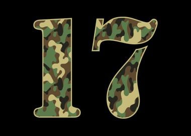 17th Birthday Soldier Camo