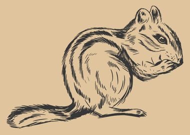 Hand drawn Chipmunk Displa