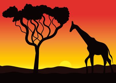 Safari Giraffe at Sunset