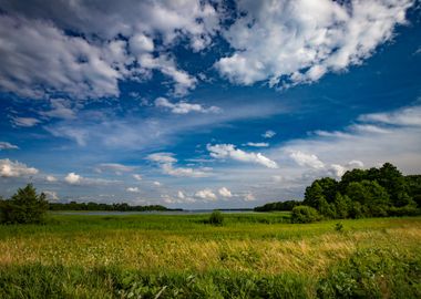 Travel, wildlife, Poland