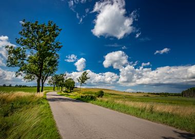 Landscape, road, travel