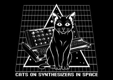 Synthesizers Cat Musician