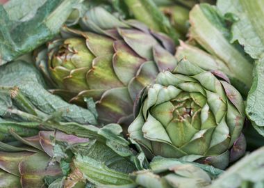 artichokes for healthy