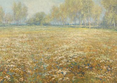 Meadow in Bloom