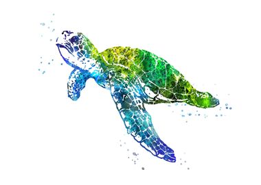 Sea turtle 