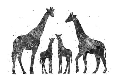 Giraffe family